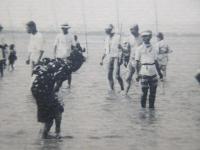 〈絵葉書〉津名所　津阿漕浦干網の光景
