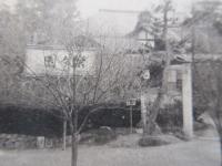 〈絵葉書〉彦根楽々園前景