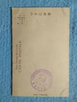 〈絵葉書〉洋装美人