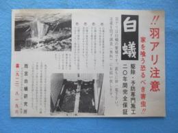 〈チラシ〉名古屋市北区金田町・雨宮白蟻研究所『羽アリ注意』