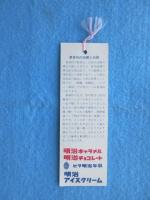〈シオリ〉東尋坊タワー