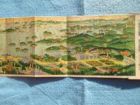 〈鳥瞰図〉松島全景