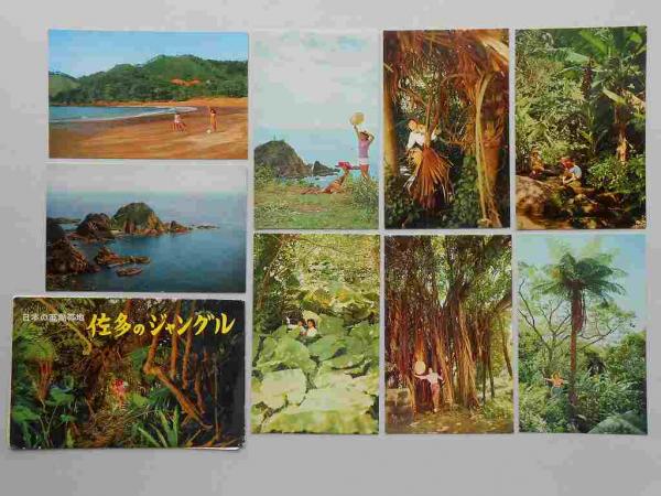 傷や汚れあり】絵葉書8枚「南紀 勝浦」勝浦温泉/勝浦観光船桟橋