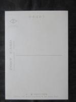 〈絵葉書〉沖縄　琉球大学と竜潭池