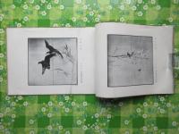 英鳳花鳥画屏縮本(石川英鳳)