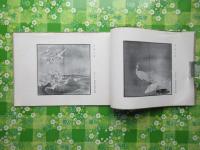 英鳳花鳥画屏縮本(石川英鳳)