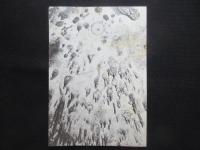 〈チラシ〉幻想世界　中村嘉明写真展