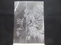 〈チラシ〉幻想世界　中村嘉明写真展