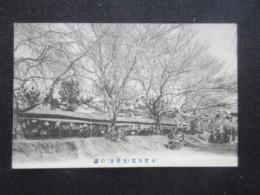 〈絵葉書〉木曽川提(光明寺)の櫻②