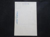 〈絵葉書〉木曽川提の櫻花⑤