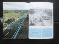 南知多道路