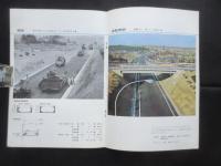 南知多道路