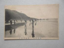 〈絵葉書〉尾張内海　東海岸網引