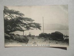 〈絵葉書〉豊後佛崎岩上鶴ノ松