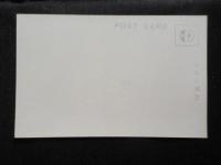 〈絵葉書〉名古屋名所　四時賽者絶えぬ大須観音堂