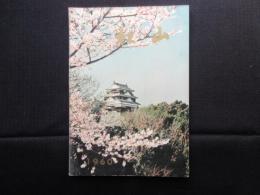 松山(松山市勢要覧)