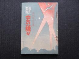 国民防空必携　国の力叢書『空の護り』