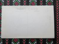 〈絵葉書〉日本平の茶摘風景