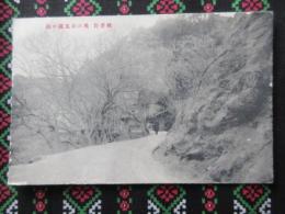 〈絵葉書〉桃香野　奥の谷墨渓の梅