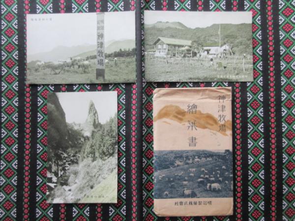 浅井国幹先生告墓文百周年記念文集 / 扶桑文庫 / 古本、中古本