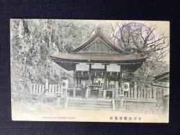 〈絵葉書〉金刀比羅宮旭社