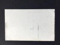 〈絵葉書〉ポナペ島新装並木通り