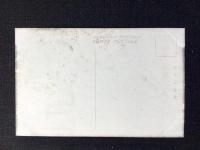 〈絵葉書〉ポナペ島ポナペ支庁