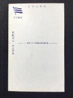 〈絵葉書〉サイパン二町目通り(サイパン銀座通り)