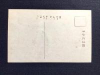 〈絵葉書〉名古屋国際飛行場