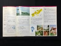 全日空　定期航空案内