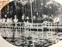 〈絵葉書〉東京府下井ノ頭恩賜公園　水泳場ノ景