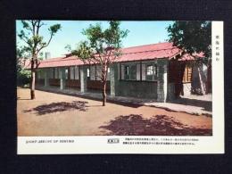 〈絵葉書〉伊豆大島　黒潮小屋