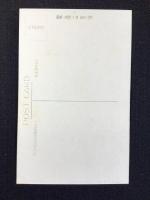 〈絵葉書〉観光の宮崎　シャンシャン馬