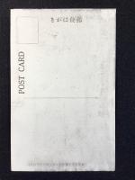 〈絵葉書〉高知市街鳥瞰
