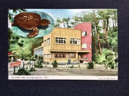〈絵葉書〉油壷水族館全景(三崎)