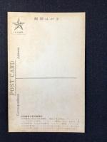 〈絵葉書〉東京名所　日本劇場と朝日新聞社