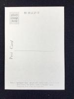 〈絵葉書〉飯坂温泉　ネオンアーチ