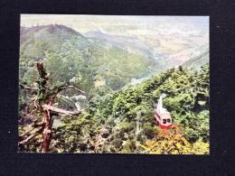 〈絵葉書〉会津東山温泉　背あぶり山ケーブル