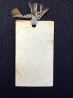 〈シオリ〉ブルーオアシス