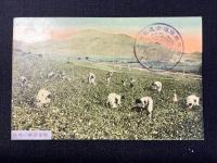 〈絵葉書〉朝鮮総督府鉄道局発行『湖南線鉄道全通紀念』