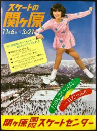 〈チラシ〉関ケ原国際スケートセンター　異種