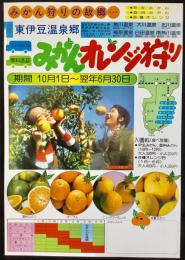〈チラシ〉東伊豆温泉郷みかんオレンジ狩り
