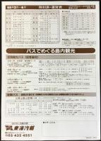 〈チラシ〉新型双胴高速船シーガルで伊豆大島へ