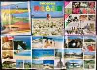 〈パンフレット〉沖えらぶ島