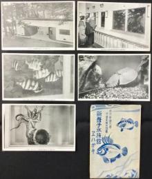 〈絵葉書〉東京帝国大学水産実験所附属　新舞子水族館