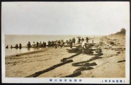 〈絵葉書〉尾張知多郡　野間海岸地引網