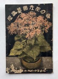 春の花卉園芸講座