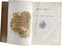 The Pictorial Museum of Animated Nature. Volume 1. Mammalia. Birds.