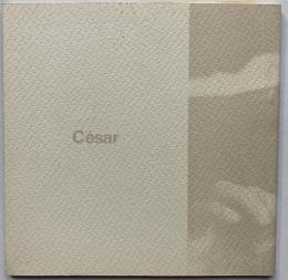 セザール　コンプレッション（圧縮体）のポートレート