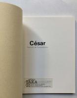 セザール　コンプレッション（圧縮体）のポートレート